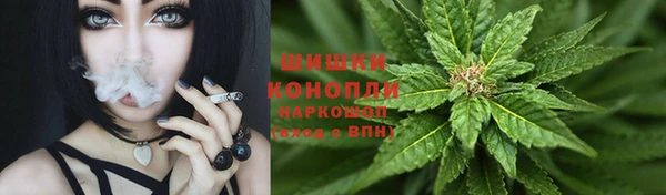стафф Володарск