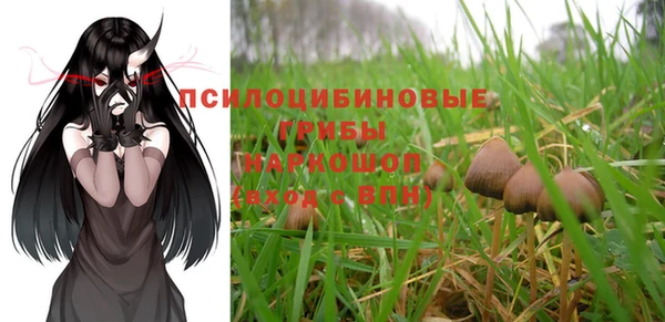 стафф Володарск