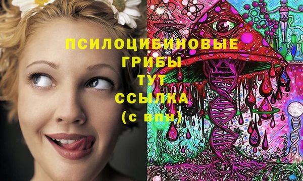 стафф Володарск