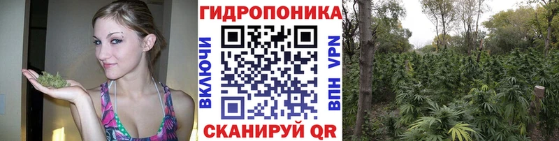 Шишки марихуана индика  купить наркотики сайты  Верхняя Салда 